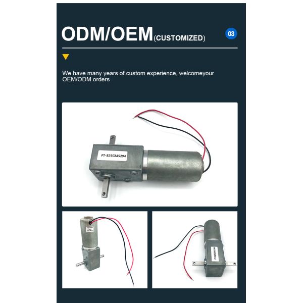 Custom FT-82SGM5294 Dual Output Shaft High Torque High Power DC Worm Gear Brushless Electric Motor