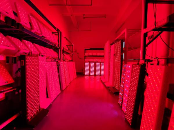 1500W App Red Light Therapy Panel 660 850nm for Pain Relief