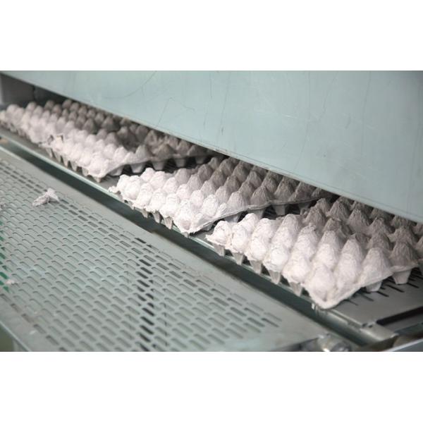 Pulp Egg / Apple Fruit Tray Moulding Machine With Drying System