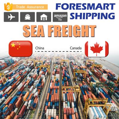 Recipiente Shenzhen de 40FT ao frete de mar de Canadá FCL