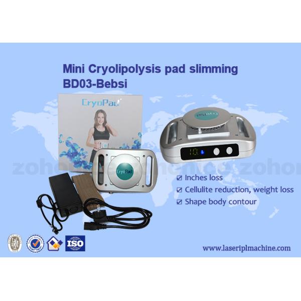 Уменьшение 220v/110v машины Cryolipolysis домашней пользы мини