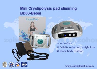 Uso en el hogar el adelgazar 220v/110v de Mini Cryolipolysis Machine