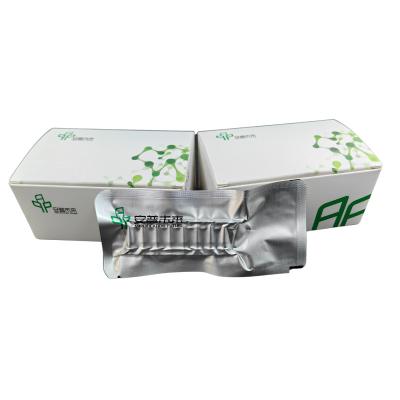 48 Testes / Caixa 5-20 minutos Kit de Amplificação de ARN de Alta Sensibilidade