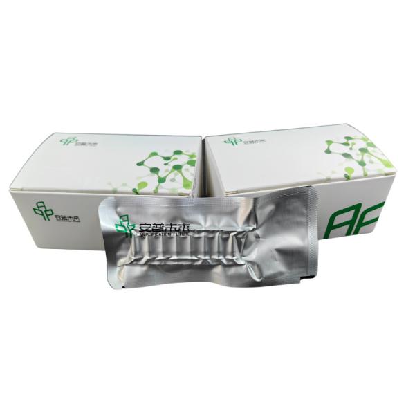 48 Tests / Box 5-20mins High Sensitivity RNA Amplification Kit