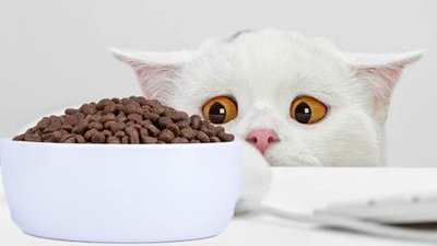 Powdery Pet Food Additives Fish Meat Flavor For Wider Feed Material Sources