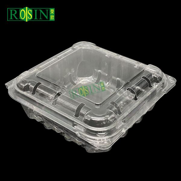 Rectangle Clear PET Disposable Clamshell Food Container Plastic Takeaway Box with Lid for Fruit