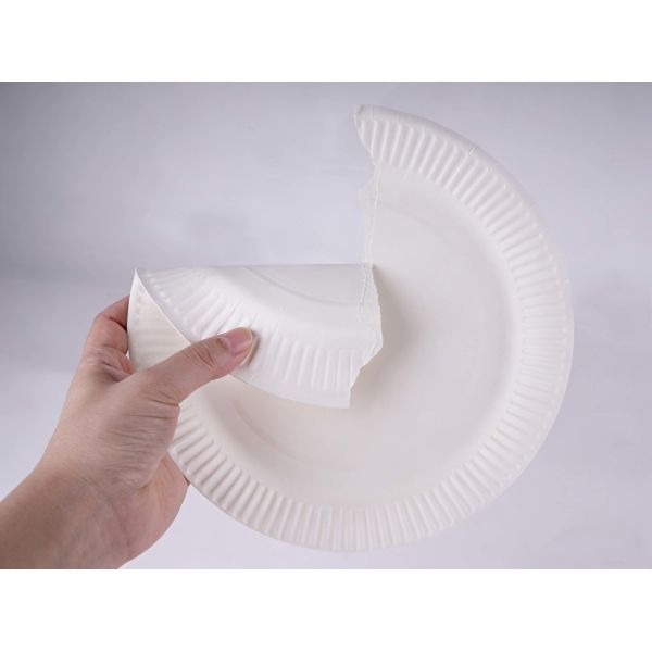 Biodegradable Disposable Paper Plates Ecofriendly Heavy Duty Round Design Suitable Catering Events Parties Picnics and Outdoor
