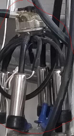 Polypropylene 100% Pp Plastic Slat Flooring 500 * 600mm Aging Resistance