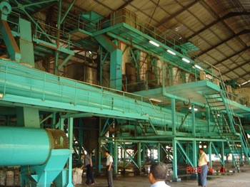 Palm Fruit Red Palm Oil Press Machine for High Productivity Palm Oil Extraction Processing Plant Competitive Cost