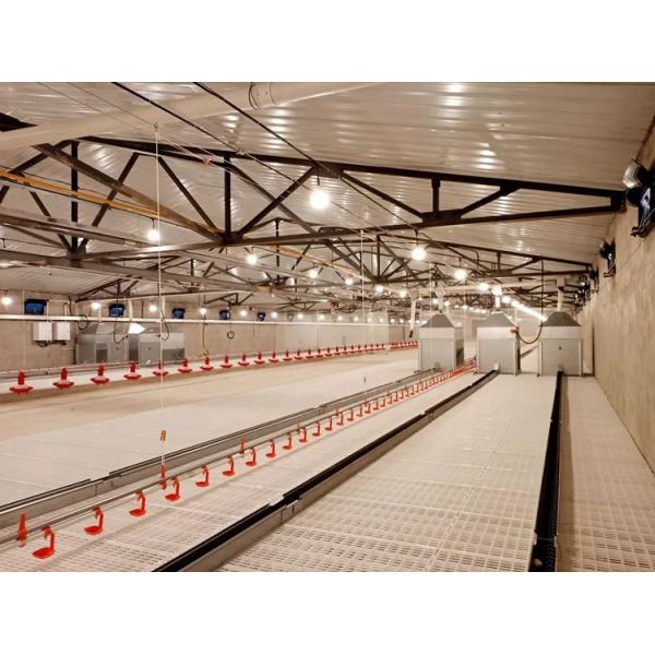 Chicken Farm Chain Automatic Pan Feeding System 1 Phase