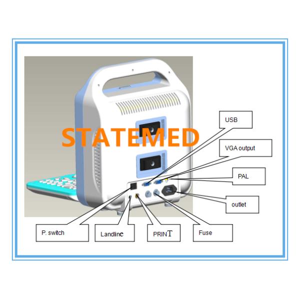 Animal Medical Ultrasound Machine , High Resolution Laptop Vet Portable Ultrasound Device