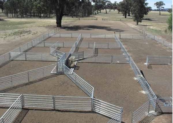 Green Color Livestock Metal Fence Panels For Cattle / Horse / Sheep 6'H*8'L
