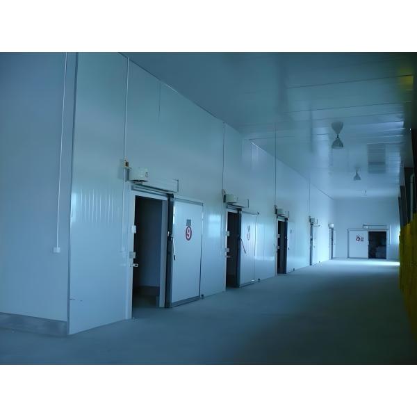 Sala de armazenamento a frio PUR / PIR 10m3 - 100m3 Capacidade Chapa de aço 0,5mm/0,6mm Portas