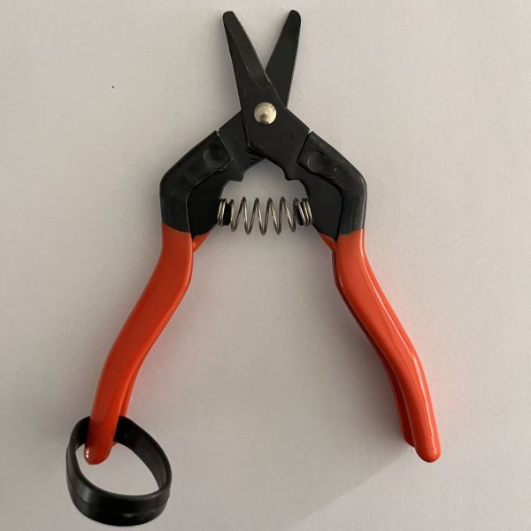 155mm Length Garden Scissors with Ergonomic Handle and Heat Treatment Process for Fruit Pick Up