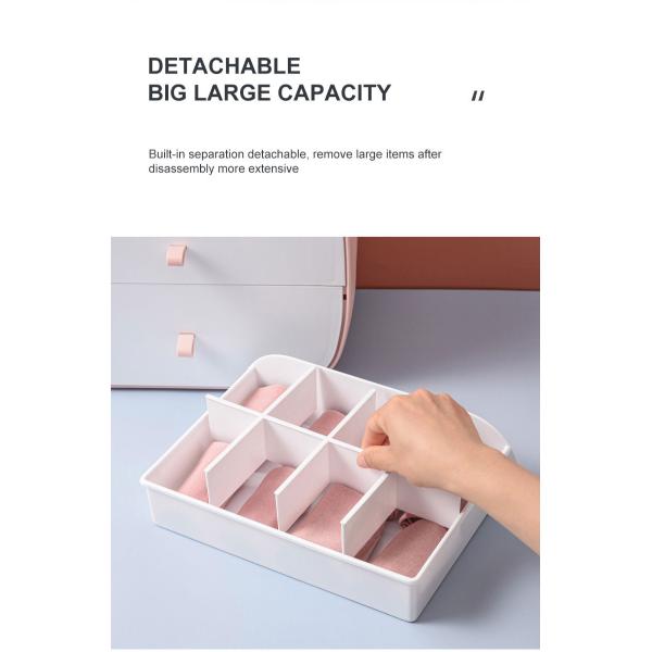 Convenient Storage Solution Dust-Proof Plastic Storage Box for Underwear and Socks