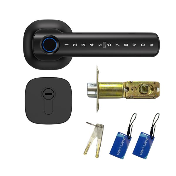 Tuya Smart Lock HL50 Matte Black Aluminum Alloy Durable Electronic Keypad Entry Fingerprint Password Card & for for Door