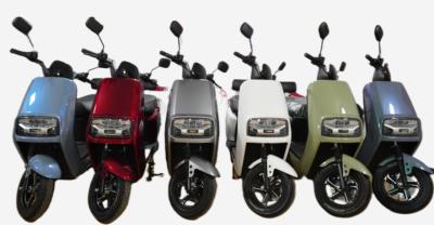 LY-JAN11Electric motorcycle Electric bicycle adult electric scooter