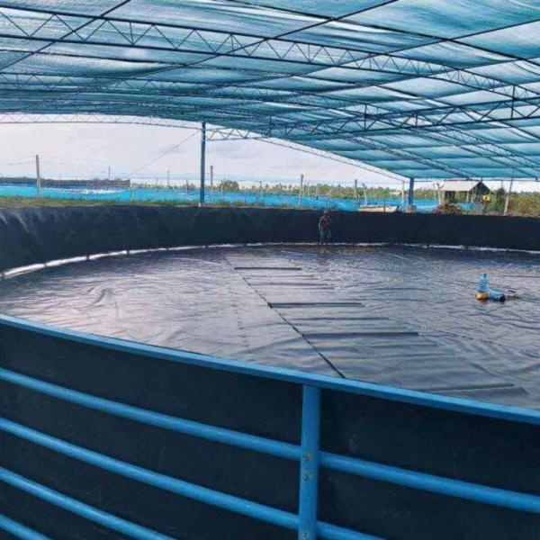 Reinforced Hdpe Geomembrane Standard ASTM GRI GM13 Green Made In Within Manufacturers