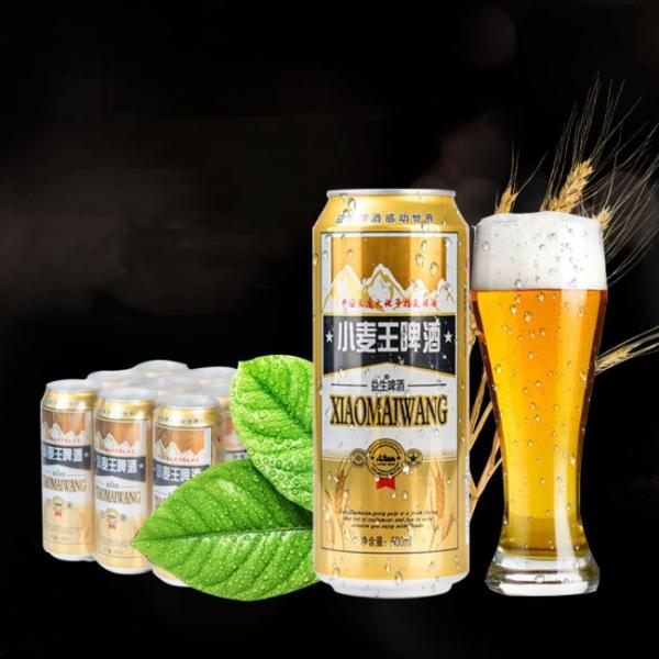 Food Grade UV Printing Alcohol Beverage Beer Aluminum Can 16.9oz