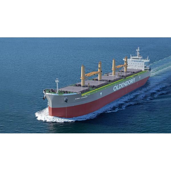 Международное обслуживание доставки Лс, наблюдение осмотра третьей стороны строг