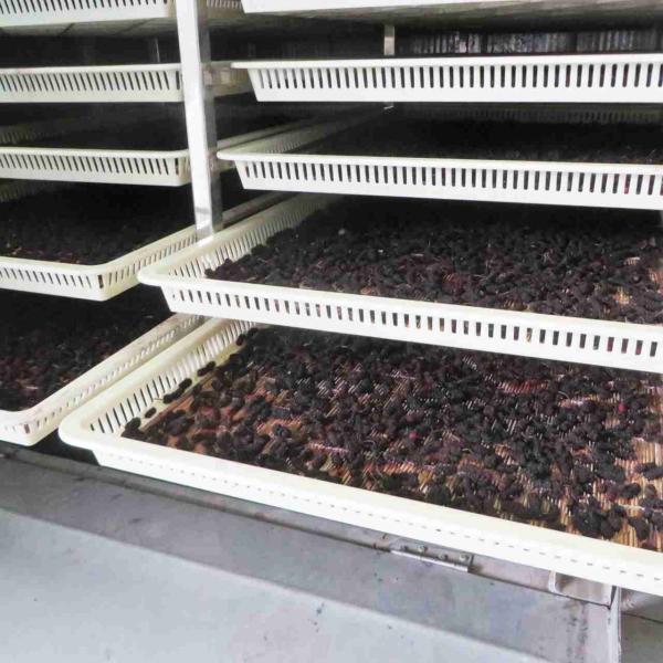 Commercial Codonopsis Pueraria Chips Food Cabinet Dryer Herb Heat Pump Dehydrator