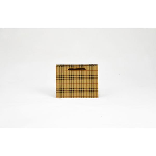5Kg Weight Capacity Kraft Shopping Paper Bags  Eco Friendly Packaging Recycled