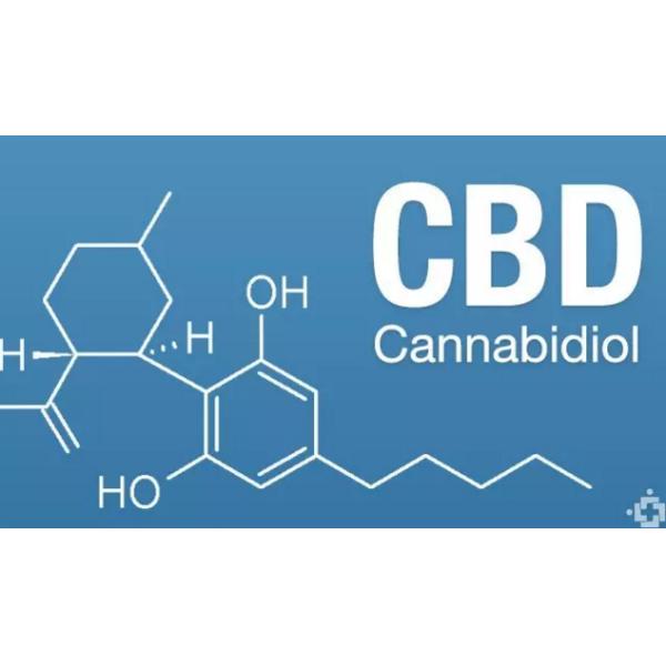 Концентрация извлечения имбиря гинкго семени виноградины Ganoderma оборудования извлечения травы Ss