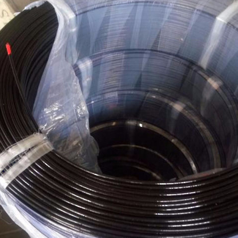 1*7/7*7/1*19/7*19 Structure PVC/PU Coated Steel Wire Rope for Fitness Equipment Gym Equipment Cable