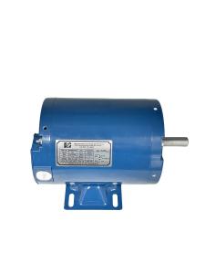 Motor AC de indução