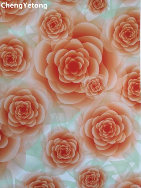 PE Coating Self Cleaning PPGL Steel Coil Color Pattern Printing In Interior Decoration
