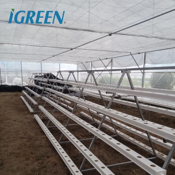 IGREEN I GAP Aquaponics Growing Systems-Complete System Hydroponics Compatible