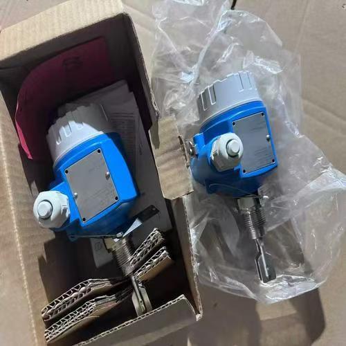 Endress Hauser FTL50 Commutateur de niveau de vibration HART en acier inoxydable