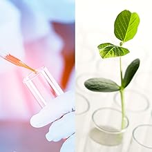 Test Tubes, 50ml - Borosilicate 3.3 Glass - 1.2mm Thick Walls, Beaded Rim - Superior Heat & Chemical Durability