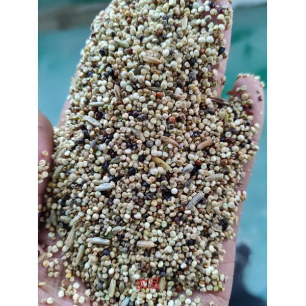 CCD Camera Quinoa Colour Sorter Machine Intelligent