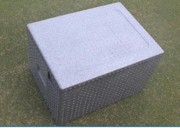 O PPE isolou a corrente fria mais fresca de envio que empacota 16 X12  X10”