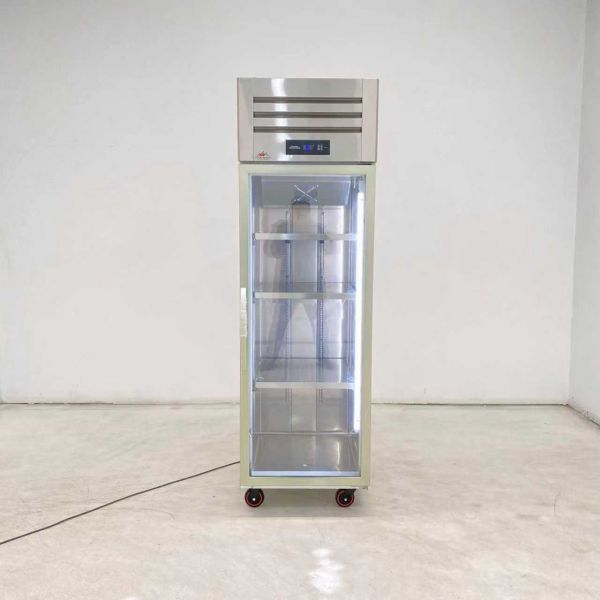 Business Food Glass Door Display Freezer Upright Display Freezer Customized Logo