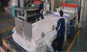 Chengdu Jiashijia Decorative New Material Co., Ltd.