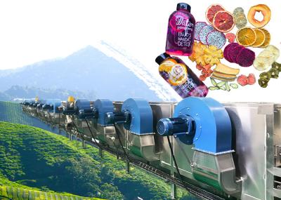 High Performance Industrial Fruit Dryer For Apple Pear Mango Peach