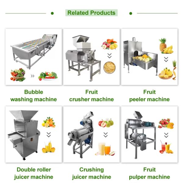 Custom 304 Stainless Steel Coconut Milk Spiral Industrial Fruit Apple Watermelon Pineapple Juicer Commercial Juicer Coconut Pulp Juicer