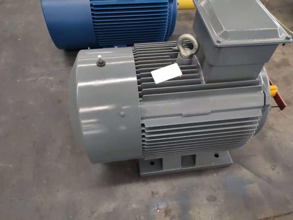 IE4 38KW Asynchronous Squirrel Cage Motors 8 Pole AC 220v 440v 380v 50hz 3 phase motor