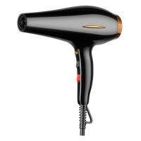 Máquina de secar cabelo elétrica com design de redução de ruído e grande entrada de ar de metal