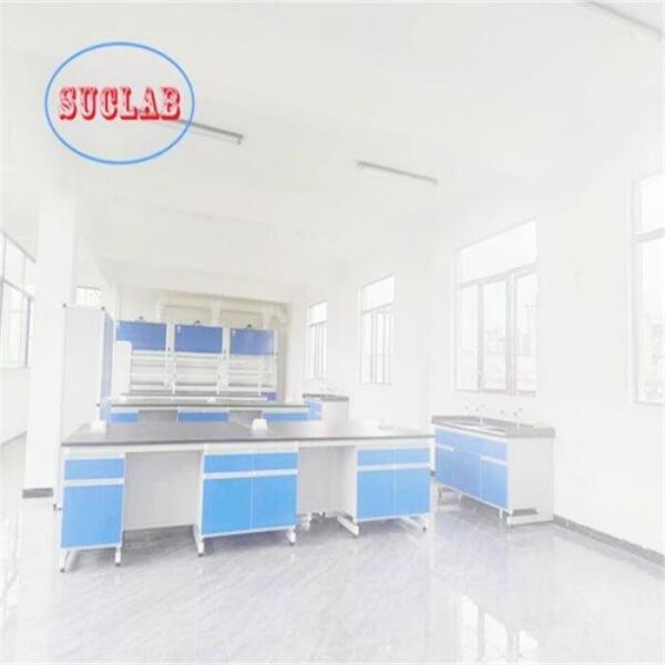 Phenolic Resin Chemistry Lab Workbench Chemical Laboratory Furnitures with DTC105 DEG Hinges and Epoxy Resin Worktop