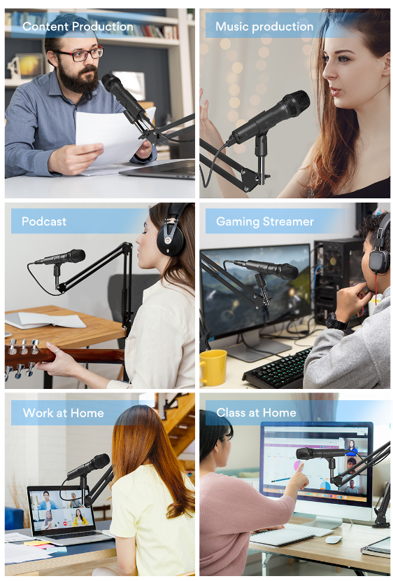 Караоке микрофона 12mv/PA студии дома ODM OEM поя Mic