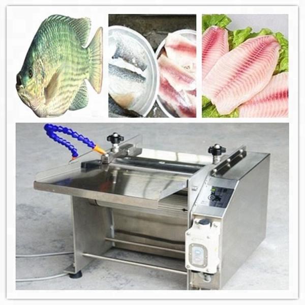 Équipement de transformation commerciale du poisson en acier inoxydable