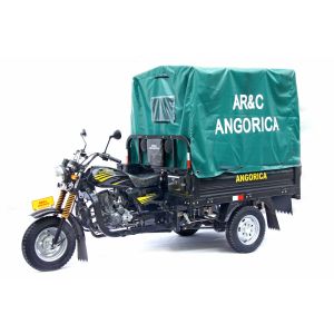 150cc 200cc 250cc Tricycle