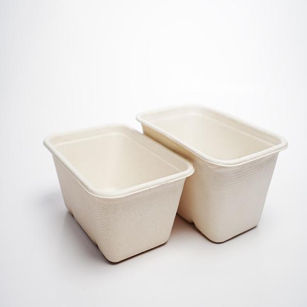 Customized Wholesale Eco-friendly Packaging Biodegradable Corn Residue Disposable Takeaway Food Box Cover