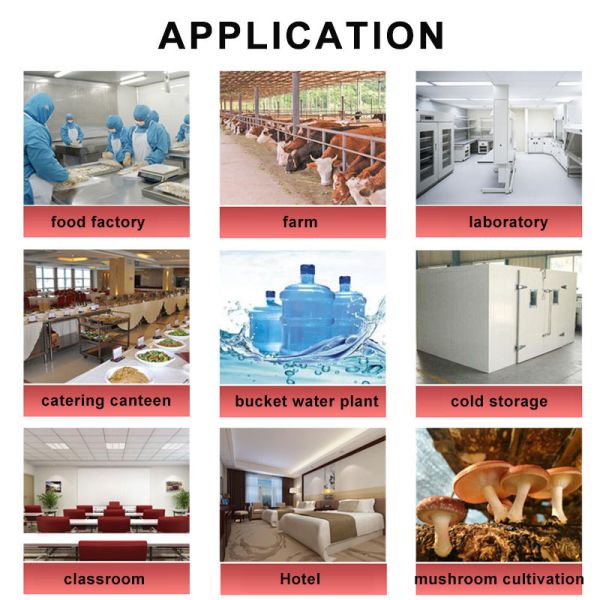 50g/h 100g/h Stainless Steel Industrial Grade Ozone Generator