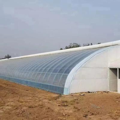 Multi Span PVC Pipe Eco Greenhouse em Pacote Acessível Tamanho 50.00cm * 60.00cm * 50.00cm