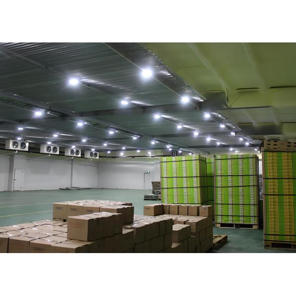 Sala de congelação iluminada a LED com isolamento de espuma de poliuretano Bitzer/Copeland/Tecumseh compressor para estável