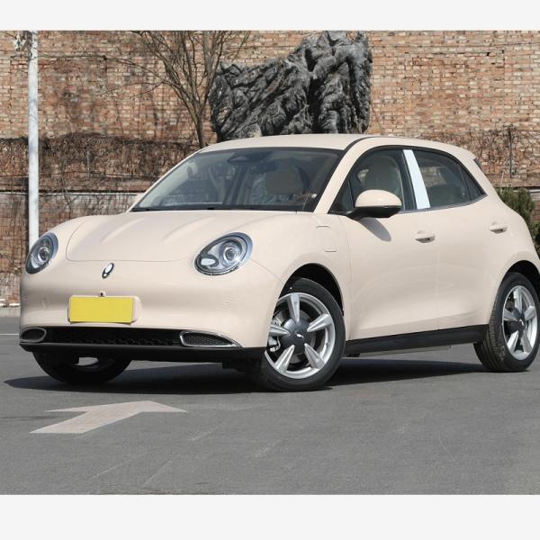 Great Wall Ora Good Cat Energy Car 5 puertas 5 asientos 401 km 501 km alcance para jóvenes